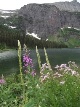 Medicine Grizzly Lake