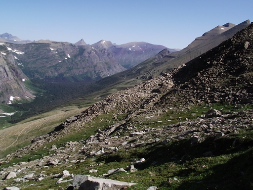 View from Piegan Pass