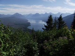 Apgar Lookout