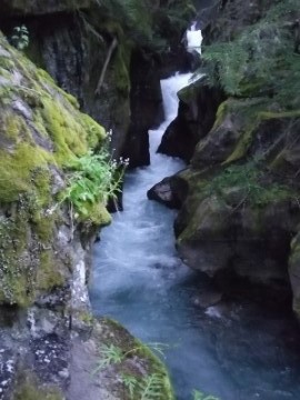 Avalanche Creek Glacier National Park Leggings