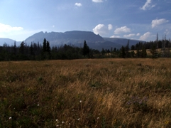 Beaver Pond Trail