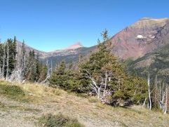 Aster Park Overlook