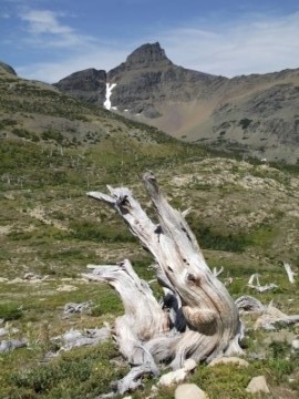 Bearhead Mountain