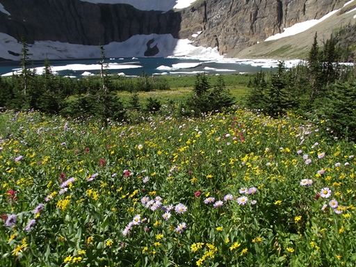 Iceberg Lake