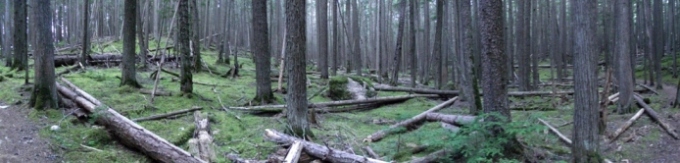 Johns Lake Trail