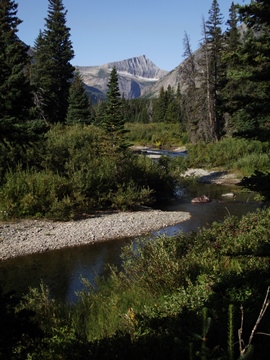 Medicine Grizzly Lake